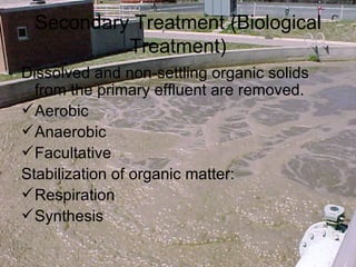 Secondary Treatment (Biological Treatment) Dissolved and non-settling organic solids from the primary effluent are removed. Aerobic Anaerobic Facultative Stabilization of organic matter: Respiration Synthesis  