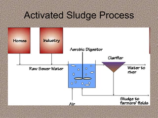 Activated Sludge Process 