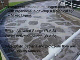 Atmospheric air and pure oxygen combined with organisms to develop a biological floc – Mixed Liquor. Return Activated Sludge (R.A.S) Waste Activated Sludge (W.A.S) Saprophytic bacteria and protozoan flora are filter feeding species. 