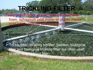 TRICKLING FILTER Fixed bed of rocks, gravel, slag, polyurethane foam, sphagnum peat moss, or plastic media over which sewage flows downward. Aerobic condition. Trickle filter, trickling biofilter, biofilter, biological filter and biological trickling filter are often used to refer to a trickling filter. 