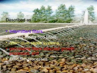 Described as  Intermittent filters, packed media bed filters, alternative septic systems,  percolating filters attached growth processes, and fixed film processes. 