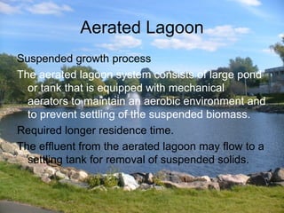 Aerated Lagoon Suspended growth process The aerated lagoon system consists of large pond or tank that is equipped with mechanical aerators to maintain an aerobic environment and to prevent settling of the suspended biomass. Required longer residence time. The effluent from the aerated lagoon may flow to a settling tank for removal of suspended solids. 