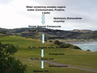 Water containing complex organic matter (Carbohydrates, Proteins, Lipids) Hydrolysis (Extracellular enzymes) Simple Organic Compounds (Sugar, amino acids, peptides) H 2 , CO 2 , Organic acids, Alcohols H 2 , CO 2, ,  Acetic acid Methane, CO 2 Methanogenesis Acetogenesis Acidogenesis 
