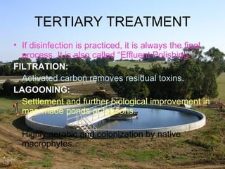 TERTIARY TREATMENT If disinfection is practiced, it is always the final process. It is also called “Effluent Polishing”. FILTRATION: Activated carbon removes residual toxins. LAGOONING: Settlement and further biological improvement in man-made ponds or lagoons. Highly aerobic and colonization by native macrophytes. 