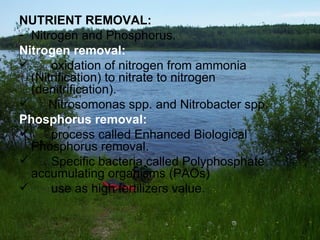 NUTRIENT REMOVAL: Nitrogen and Phosphorus. Nitrogen removal: oxidation of nitrogen from ammonia  (Nitrification) to nitrate to nitrogen  (denitrification). Nitrosomonas spp. and Nitrobacter spp. Phosphorus removal: process called Enhanced Biological  Phosphorus removal. Specific bacteria called Polyphosphate  accumulating organisms (PAOs) use as high fertilizers value. 