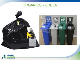 ORGANICS - GREEN

 