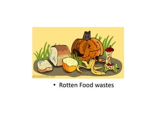 • Rotten Food wastes

 