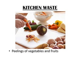 KITCHEN WASTE

• Peelings of vegetables and fruits

 