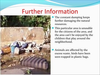 Further Information
The constant dumping keeps
further damaging the natural
resources.
This particular area is unusable
for the citizens of the area, and
the area can’t be enjoyed by the
children that play around the
neighborhood.
Animals are affected by the
excess waste, birds have been
seen trapped in plastic bags.
 