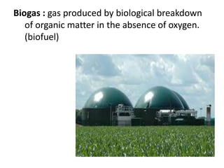 Biogas : gas produced by biological breakdown
of organic matter in the absence of oxygen.
(biofuel)
 