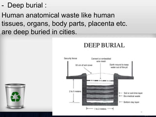 - Deep burial :
Human anatomical waste like human
tissues, organs, body parts, placenta etc.
are deep buried in cities.
 