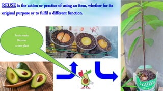 REUSE is the action or practice of using an item, whether for its
original purpose or to fulfil a different function.
Fruits waste
Become
a new plant
 