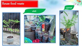 Reuse food waste
chili
carrot
 