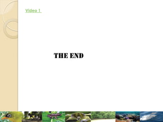 THE END
Video 1
 