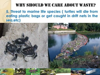 WHY SHOULD WE CARE ABOUT WASTE?
5. Threat to marine life species ( turtles will die from
eating plastic bags or get caught in drift nets in the
sea,etc)
 