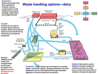Waste handling options—dairy
Production :
Waste associated with
dairy operations
includes manure,
contaminated runoff,
milking house waste,
bedding, spilled feed,
and silage leachate
Storage:
Milking house
waste and
contaminated
runoff must
be stored as a
liquid in a waste
storage pond or
structure.
Utilisation: Dairy waste is used as
bedding for livestock, marketed as
compost, and used as an energy
source, but the most common form of
utilization is through land application.
Treatment : Liquid waste can be treated in an aerobic
lagoon, anaerobic lagoon. Energy production and odor
abatement can be accomplished through anaerobic
digestion or thermo-chemical conversion.
Transfer :
Pumps can be used to
transfer liquid waste as
needed. Solid and semisolid
waste can be transferred by
mechanical conveyance
equipment
 