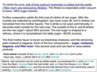 To clarify the juice, milk of lime (calcium hydroxide) is added and the solids
(“filter mud”) are removed by filtration. The filtrate is evaporated under vacuum
to leave ~60% sugar solution.
Further evaporation yields the first crop (A-strike) of raw sugar. After the
crystals are collected by centrifugation, two more crops (B- and C-strikes) are
harvested from the mother liquors. The C-strike is not used commercially; it
becomes seed crystals for the next crop. The crystals of the A- and B-strikes
are the raw sugar—about 98% sucrose. The raw sugar is shipped to a
refinery, where it is recrystallized into table sugar—99.9% sucrose.
The final mother liquor is known as blackstrap molasses, and the remaining
plant material is bagasse. Each of the four components— sugar, molasses,
bagasse, and filter mud—has several uses and can lead to value-added
products
Corn stover consists of the leaves, stalks, and cobs of maize (corn) (Zea
mays ssp. mays L.) plants left in a field after harvest
Mature, ripe coconuts can be used as edible seeds, or processed for oil and plant milk
from the flesh, charcoal from the hard shell, and coir from the fibrous husk. Dried
coconut flesh is called copra, and the oil and milk derived from it are commonly used in
cooking – frying in particular – as well as in soaps and cosmetics.
 