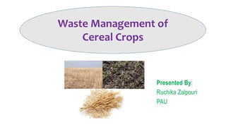 Presented By:
Ruchika Zalpouri
PAU
Waste Management of
Cereal Crops
 