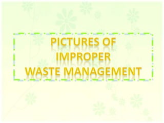 Pictures of Improper Waste Management