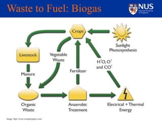 Waste to energy | PPTX