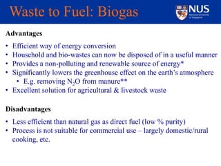 Waste to energy | PPTX