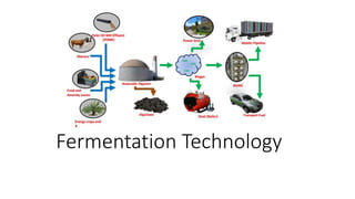 Fermentation Technology
 