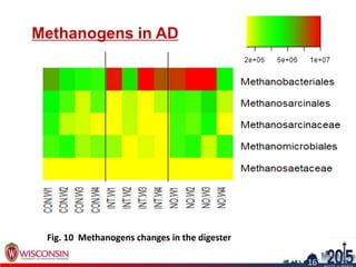Methanogens in AD
19
16
Fig. 10 Methanogens changes in the digester
 