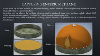 When cows are housed indoors on odorless bedding, enteric methane can be captured by means of biochar
filters at the top of a dome structure.
In saving a dying planet, the methane of cows must be captured, since cows produce globally about 562.5
billion liters of methane per day or about 205 trillion liters of methane per year.
The waste of a cow, when transformed correctly over its lifetime, can generate about 10 times more revenue
than the cow.
52
Base
Bedding
Filter
Inlets
 
