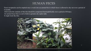 Feces receptacles can be emptied once a week into an aerated bin in which feces is allowed to dry out over a period of
6 months.
Afterwards the contents of this bin should be composted thermophilically over a period of 40 days.
An aerated feces bin is a sort of above-ground, dry septic tank.
It might look like this:
73
 
