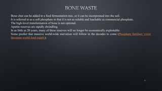 Bone char can be added to a feed fermentation mix, or it can be incorporated into the soil.
It is referred to as a soft phosphate in that it is not as soluble and leachable as commercial phosphate.
The high-level transformation of bone is not optional.
Apatite reserves are rapidly dwindling.
In as little as 20 years, many of these reserves will no longer be economically exploitable.
Some predict that massive world-wide starvation will follow in the decades to come (Phosphate fertiliser 'crisis'
threatens world food supply).
81
 