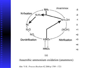 Anaerobic ammonium oxidation (anammox) Ahn  Y-H.  Process Biochem  42 2006 p 1709 - 1721 