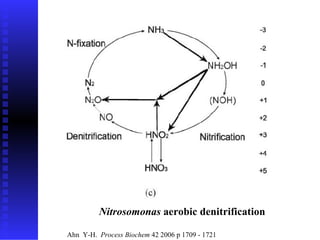 Nitrosomonas  aerobic denitrification   Ahn  Y-H.  Process Biochem  42 2006 p 1709 - 1721 
