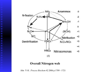 Overall Nitrogen web   Ahn  Y-H.  Process Biochem  42 2006 p 1709 - 1721 