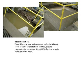 3 Sedimentation Three 40 metre long sedimentation tanks allow heavy solids to settle to the bottom and fats, oils and greases to rise to the top. About 60% of solid matter is removed at this point. 