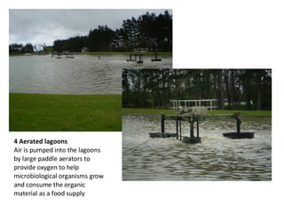4 Aerated lagoons Air is pumped into the lagoons by large paddle aerators to provide oxygen to help microbiological organisms grow and consume the organic material as a food supply 