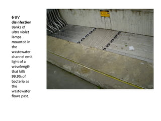 6 UV disinfection Banks of ultra violet lamps mounted in the wastewater channel emit light of a wavelength that kills 99.9% of bacteria as the wastewater flows past. 