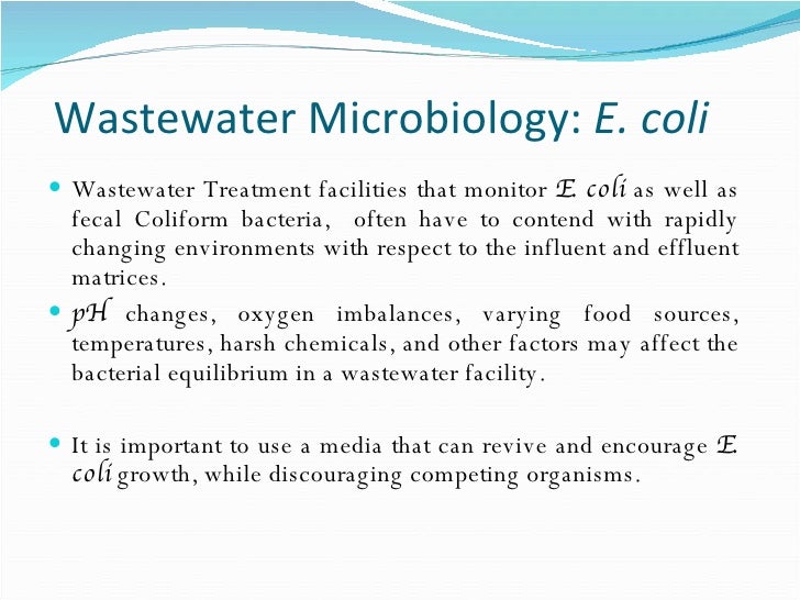 Wastewater Escherichia coli with Modified mTEC