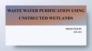 WASTE WATER PURIFICATION USING
CNSTRUCTED WETLANDS
PRESENTED BY
AGLAIA
 