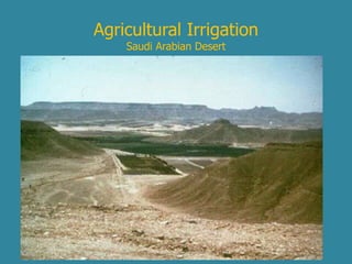 Agricultural Irrigation 
Saudi Arabian Desert 
 