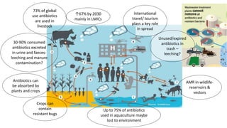 What are the benefits to plant health, and risks to human health of using manure and wastewater to fertilize food crops?  How can the risks be mitigated?