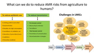 What are the benefits to plant health, and risks to human health of using manure and wastewater to fertilize food crops?  How can the risks be mitigated?