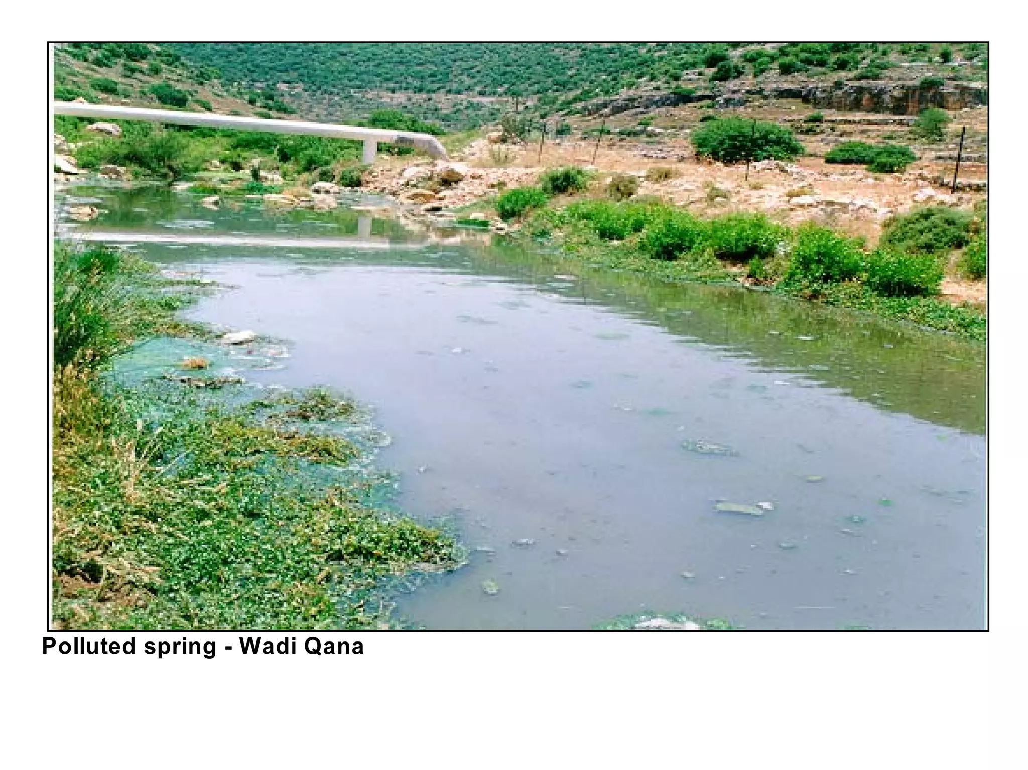 Polluted spring - Wadi Qana
 