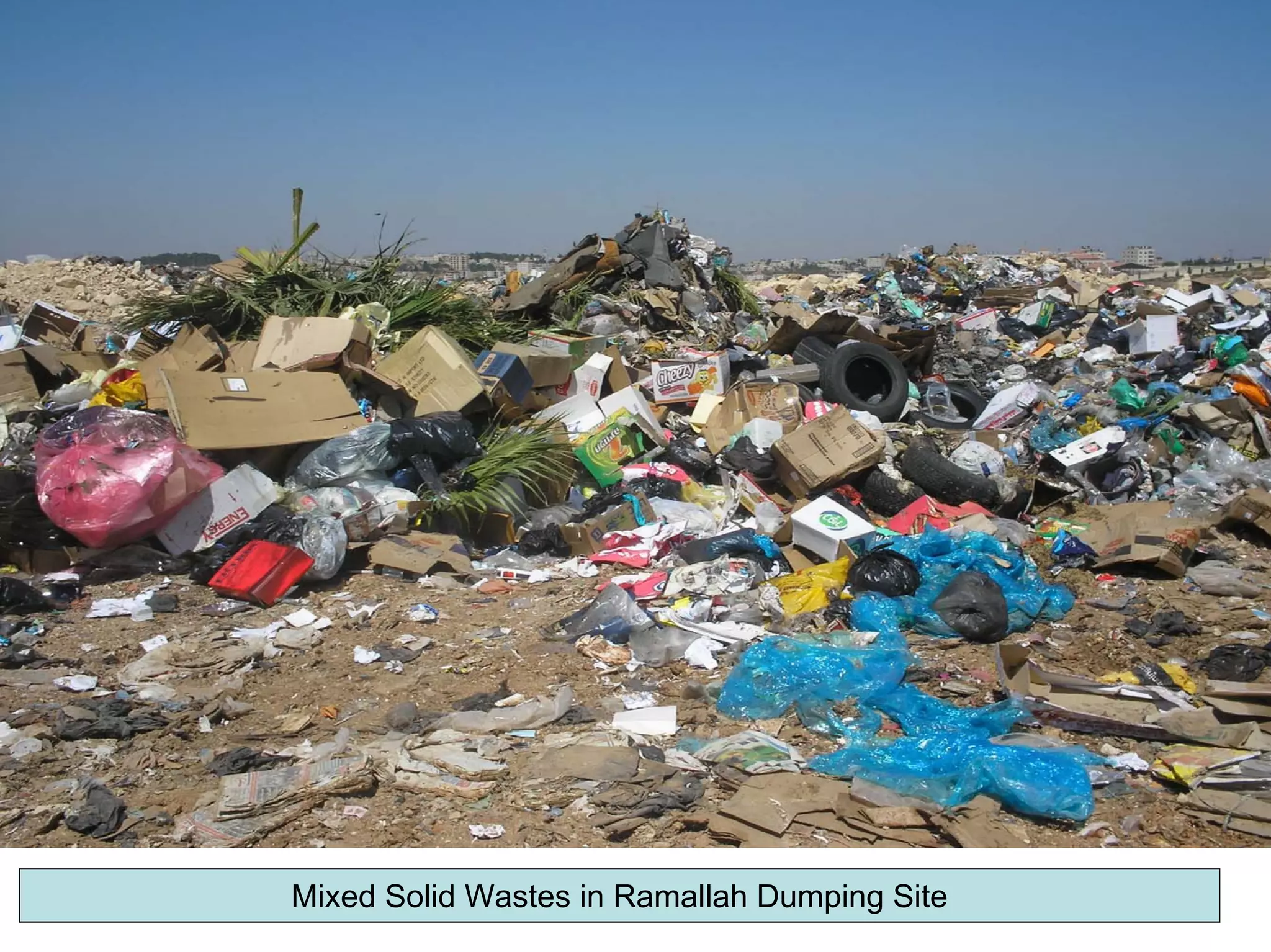 Mixed Solid Wastes in Ramallah Dumping Site
 