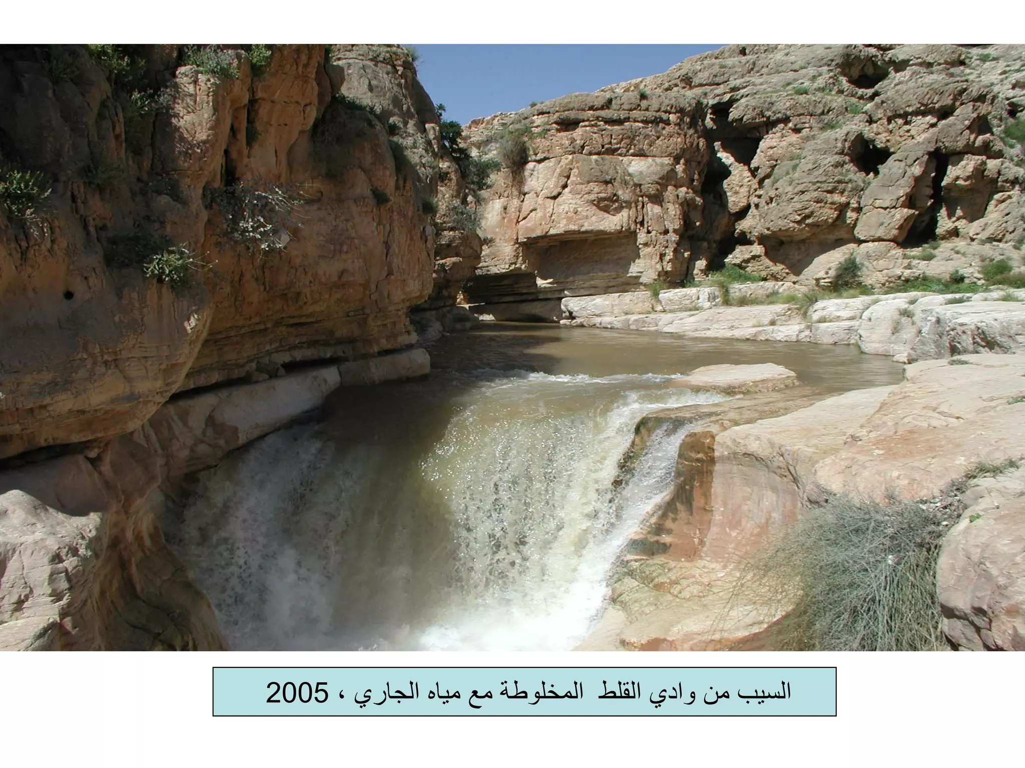 ‫اﻟﺴﻴﺐ‬‫وادي‬ ‫ﻣﻦ‬‫اﻟﻘﻠﻂ‬، ‫اﻟﺠﺎري‬ ‫ﻣﻴﺎﻩ‬ ‫ﻣﻊ‬ ‫اﻟﻤﺨﻠﻮﻃﺔ‬2005
 