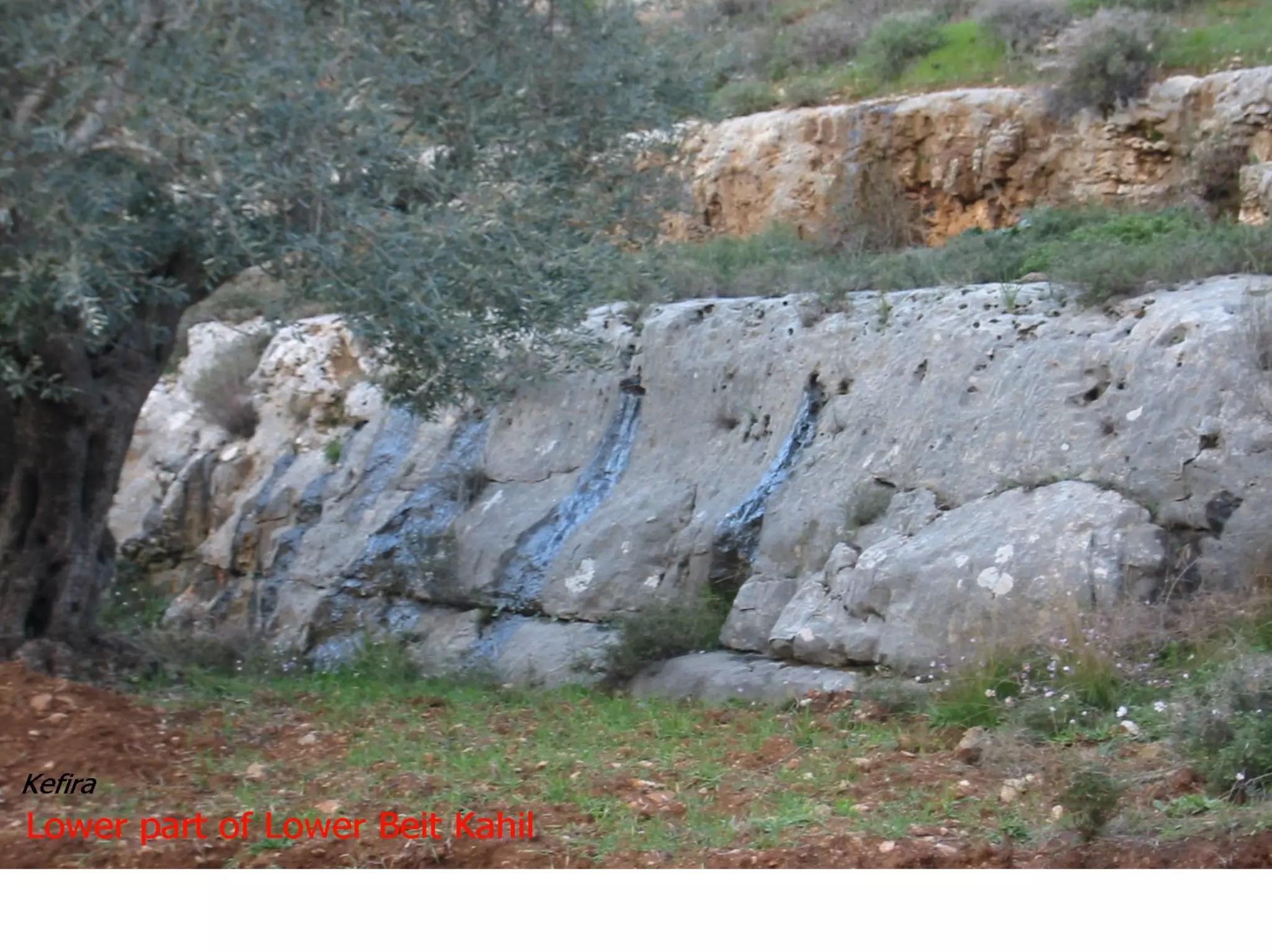 Wastewater sampling and treatment   كورس تدريبي عن أخذ العينات والتحاليل لمياه الصرف الصحي