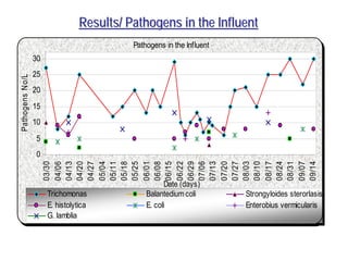 Pathogens in the Influent
0
5
10
15
20
25
30
03/30
04/06
04/13
04/20
04/27
05/04
05/11
05/18
05/25
06/01
06/08
06/15
06/22
06/29
07/06
07/13
07/20
07/27
08/03
08/10
08/17
08/24
08/31
09/07
09/14
Date (days)
PathogensNo/L
Trichomonas Balantediumcoli Strongyloides sterorlasis
E. histolytica E. coli Enterobius vermicularis
G. lamblia
Results/ Pathogens in the InfluentResults/ Pathogens in the Influent
 