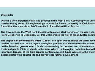 Olive-mills
Olive is a very important cultivated product in the West Bank. According to a survey
carried out by some civil engineering students for Birzeit University in 2006, it was
found that there are about 26 Olive-mills in Ramallah-Al Bireh District.
The Olive mills in the West Bank including Ramallah start working on the rainy seas
from October up to December. So, this will increase the risk of groundwater pollutio
The disposal of the untreated waste “Zebar” into open wades and/or the water recei
bodies is considered as an urgent ecological problem that deteriorates the environ
in the Ramallah governorate. It is also obsolescing the construction of wastewater
treatment plants if it is available in the area. Where the biological pollution due to th
improper disposal of the high organic content olive mill liquid waste into the water
bodies destroy the aquatic life and prevents its further development.
 