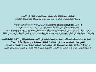 ‫اﻷوﻟﻴﺎت‬:‫اﻹﻧﺴﺎن‬ ‫إﻟﻰ‬ ‫ﺗﻨﺘﻘﻞ‬ ‫و‬ ‫اﻟﺨﻠﻴﺔ‬ ‫وﺣﻴﺪة‬ ‫ﻃﻔﻴﻠﻴﺔ‬ ‫أوﻟﻴﺔ‬ ‫آﺎﺋﻨﺎت‬ ‫وهﻲ‬
‫اﻟﻜﺎﺋﻨ‬ ‫هﺬﻩ‬ ‫ﺑﺤﻮﻳﺼﻼت‬ ‫ﻣﻠﻮﺛﺔ‬ ‫أﻳﺪي‬ ‫ﻏﺴﻞ‬ ‫أو‬ ‫ﺷﺮاب‬ ‫أو‬ ‫ﻃﻌﺎم‬ ‫ﺗﻨﺎول‬ ‫ﺑﻮاﺳﻄﺔ‬‫اﻟﺪﻗﻴﻘﺔ‬ ‫ﺎت‬:-
1-‫اﻻﻣﻴﺒﺎ‬)Entameoba histolytica:(‫ﺑﻤﻬﺎﺟﻤﺔ‬ ‫وﺗﻘﻮم‬ ‫اﻟﻐﻠﻴﻈﺔ‬ ‫اﻷﻣﻌﺎء‬ ‫ﻓﻲ‬ ‫ﺗﻌﻴﺶ‬
‫ﻟﺘ‬ ‫اﻟﺤﻤﺮاء‬ ‫اﻟﺪم‬ ‫وﺧﻼﻳﺎ‬ ‫اﻟﻤﺨﺎﻃﻴﺔ‬ ‫اﻷﻏﺸﻴﺔ‬ ‫ﻋﻠﻰ‬ ‫ﻟﺘﺘﻐﺬى‬ ‫اﻷﻣﻌﺎء‬ ‫ﺟﺪار‬‫اﻟﺘﻘﺮﺣﺎت‬ ‫ﺴﺒﺐ‬
‫ﻳﻌﺮف‬ ‫ﻣﺎ‬ ‫وهﻮ‬)‫ﺑﺎﻟﺰﺣﺎر‬‫اﻻﻣﻴﺒﻲ‬‫أو‬‫اﻟﺪوﺳﻨﻄﺎرﻳﺎ‬‫اﻻﻣﻴﺒﻴﺔ‬(,‫اﻟﻤﺎء‬ ‫ﻓﻲ‬ ‫اﻟﺤﻴﺎة‬ ‫ﻣﺪة‬90‫وﺣﺠﻤﻬﺎ‬ ‫ﻳﻮم‬)5 -15 µm.(
‫ﻣﺼﺤﻮ‬ ‫آﺮﻳﻬﺔ‬ ‫وراﺋﺤﺘﻪ‬ ‫رﺧﻮ‬ ‫اﻟﺒﺮاز‬ ‫وﻳﻜﻮن‬ ‫اﻟﺒﻄﻦ‬ ‫ﻓﻲ‬ ‫وأﻟﻢ‬ ‫إﺳﻬﺎل‬ ‫وأﻋﺮاﺿﻬﺎ‬‫ﺧﻔﻴﻔﺔ‬ ‫ﺣﻤﻰ‬ ‫و‬ ‫وﻗﻲء‬ ‫اﻟﺸﻬﻴﺔ‬ ‫ﻓﻘﺪان‬ ‫و‬ ‫ﺑﺪم‬ ‫ﺑﺔ‬.
-‫اﻟﺠﻴﺎردﻳﺎ‬)Giardia lamblia:(‫اﻟﻨﺸﻄ‬ ‫اﻷﻃﻮار‬ ‫ﻟﺘﺨﺮج‬ ‫ﺗﻨﻘﺴﻢ‬ ‫ﺣﻴﺚ‬ ‫اﻹﻧﺴﺎن‬ ‫ﻓﻲ‬ ‫اﻟﺪﻗﻴﻘﺔ‬ ‫اﻷﻣﻌﺎء‬ ‫ﻓﻲ‬ ‫ﺗﻌﻴﺶ‬‫ﻟﺘﺴﺒﺐ‬ ‫ﺔ‬
‫اﻟﻤﺨﺎط‬ ‫إﻓﺮاز‬ ‫زﻳﺎدة‬ ‫إﻟﻰ‬ ‫ﻳﺆدي‬ ‫ﻣﻤﺎ‬ ‫اﻷﻣﻌﺎء‬ ‫ﻟﺠﺪار‬ ‫اﻟﺘﻬﻴﺞ‬.‫ﻳﺘﺮاوح‬ ‫وﺣﺠﻤﻬﺎ‬)10.5- 14µm(‫ﻃﻮﻻ‬
‫و‬)7.5 – 10mµ(,‫ا‬ ‫ﺑﺮاز‬ ‫ﻣﻦ‬ ‫اﻟﻤﻠﻮﺛﺔ‬ ‫اﻟﺴﻄﺤﻴﺔ‬ ‫اﻟﻤﻴﺎﻩ‬ ‫ﺗﺴﺘﺨﺪم‬ ‫اﻟﺘﻲ‬ ‫اﻟﻤﺠﺘﻤﻌﺎت‬ ‫ﻓﻲ‬ ‫وﺗﻨﺘﻘﻞ‬‫اﻟﺤﻴﻮان‬ ‫أو‬ ‫ﻹﻧﺴﺎن‬.
‫أﻋﺮاﺿﻬﺎ‬:‫اﻷﻃﻔﺎل‬ ‫ﻟﺪى‬ ‫ﺁﻻم‬ ‫ﻣﻊ‬ ‫اﻟﺮاﺋﺤﺔ‬ ‫آﺮﻳﻪ‬ ‫واﻟﺒﺮاز‬ ‫إﺳﻬﺎل‬.‫اﻟﻜﺒﺎر‬ ‫ﻟﺪى‬ ‫اﻟﻤﻔﺎﺻﻞ‬ ‫اﻟﺘﻬﺎب‬ ‫و‬ ‫اﻟﺤﺮارة‬ ‫ارﺗﻔﺎع‬ ‫ﺗﺴﺒﺐ‬ ‫ﻗﺪ‬.
 