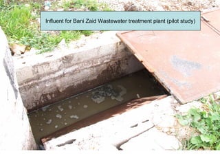 Influent for Bani Zaid Wastewater treatment plant (pilot study)
 