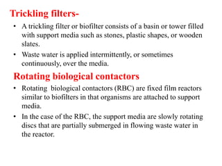Stone Biofilter Waste water treatment | PPTX
